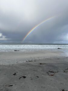 freedom beach lofoten